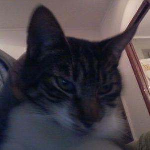 Paula D' Adamo - Twitter Profile Picture of Paula D' Adamo (@dadamopaula20) on Twitter