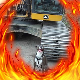 Profile Picture of Guy Manseau (@guy.manseau.31) on Facebook