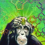 Profile Picture of Adam Le (@projectcosmicdancing) on Instagram