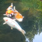 Profile Picture of Mcmorran Jammie (@mcmorran77) on Facebook