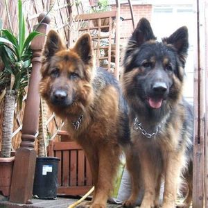 Profile Picture of Ian Moorhouse (@161446440) on Myspace