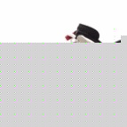 Profile Picture of Giuseppe Sannino (@giuseppe_sannino) on Myspace