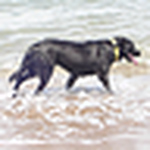 Profile Picture of juan martin medrano (@petomed) on Flickr