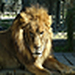 Profile Picture of David Mathews (@dmathew1) on Flickr