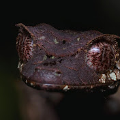 Profile Picture of Pawel Wroblewski (@pawelwroblewski5963) on Youtube