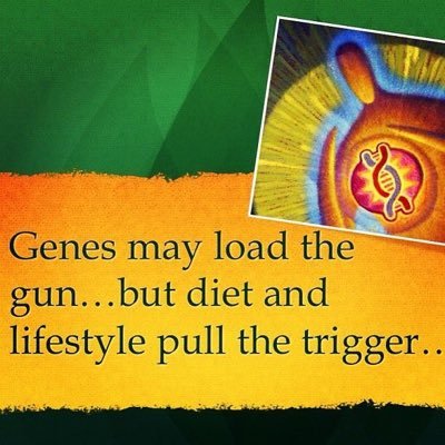 Profile Picture of Amy Wolfe (@adroess) on Twitter