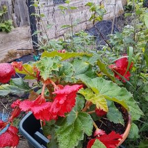 Profile Picture of Paula Smith (@paulamason77) on Twitter