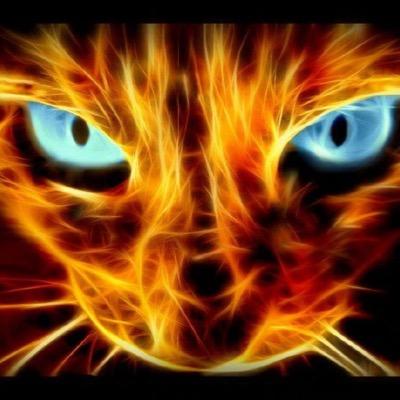 Profile Picture of Max Morrow (@MaxMaxmorrow14) on Twitter