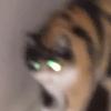 Profile Picture of Jacob Adamson (@@therealjerryjones) on Tiktok