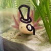 Profile Picture of Joe Beal (@joebeal1556) on Tiktok