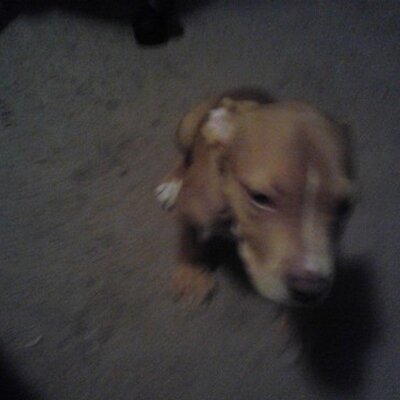Profile Picture of Johnny Dupree (@jayfivz) on Twitter