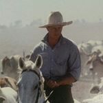 Profile Picture of Dave Gilmore (@dave_gilmore79) on Instagram