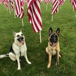 Profile Picture of Jason Swiger (@j_swig0629) on Instagram