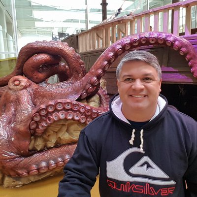 Profile Picture of Fred Hobbs (@FredHobbs17) on Twitter