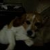 Profile Picture of Matthew Burtis (@matthew.burtis.1) on Facebook