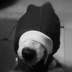 Profile Picture of Fernando Catacora (@fernando.catacora.31) on Facebook