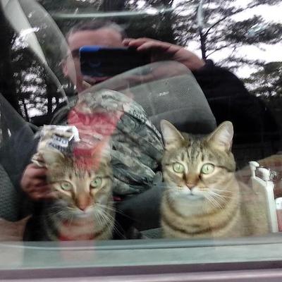 Profile Picture of John Sibley (@aniwack) on Twitter