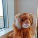 Profile Picture of David Jozef (@david.jozef.376) on Facebook