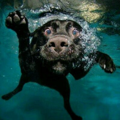 Profile Picture of Roberto Padron (@Rob1282) on Twitter