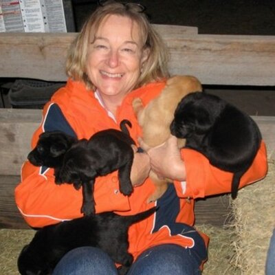 Profile Picture of Janice Kelley (@JanKelley) on Twitter