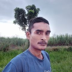 Profile Picture of aronharjono (@aronharjono) on Tiktok