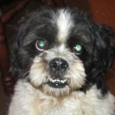 Profile Picture of Lora Oneal (@oneal_lora) on Twitter