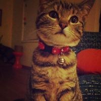 Asuka Mizobuchi - Quora Profile Picture of Asuka Mizobuchi (@asuka-mizobuchi) on Quora