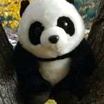 Profile Picture of Corey James Mace (@coreyjamesmace) on Instagram