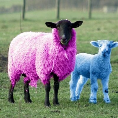 Profile Picture of AndreMihaescu (@AndreMihaescu) on Twitter