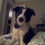 Profile Picture of Jake Pettigrew (@jakepettigrew) on Instagram