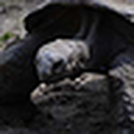 Profile Picture of Stoutrl (@stoutrl) on Flickr