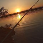 Profile Picture of Silvia Falcón (@silvia.falcon.90260) on Instagram