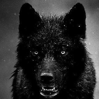 Profile Picture of Steven Putter (@steven.putter) on Facebook