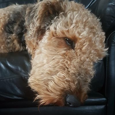 Profile Picture of Stephen McSpadden (@StephenMcS) on Twitter