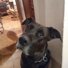 Profile Picture of Géleff Gwénaël (@GeleffG) on Twitter