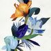 Profile Picture of Wei Qiang (@weiqiang186) on Pinterest
