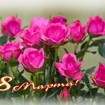 Profile Picture of lucia maxwell (@luciamaxwell1) on Instagram