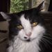 Profile Picture of Bobbie Hyder (@bobbiehyder) on Pinterest