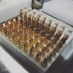 Profile Picture of joseph bina (@miracleextracts) on Instagram