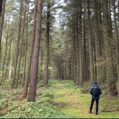 Steven Grimshaw - Twitter Profile Picture of Steven Grimshaw (@grimmy2201) on Twitter