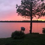 Profile Picture of Dawn Marentette (@dawnmarentette) on Instagram