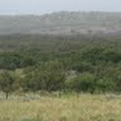 Profile Picture of Kim Woolsey (@kimwoolsey4005) on Youtube