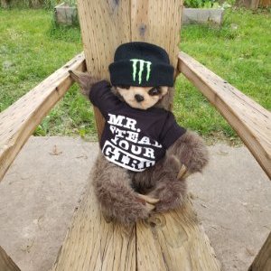 Profile Picture of Chadwick The Sloth 🔜 🌲 Electric Forest (@ChadwickSloth) on Twitter