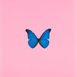 Profile Picture of Marie (@maryloop_) on Instagram