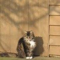 Profile Picture of Colin Matthews (@colin-matthews-13) on Quora