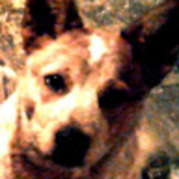 Profile Picture of Choosetheshoes Choosetheshoes (@choosetheshoes) on Poshmark