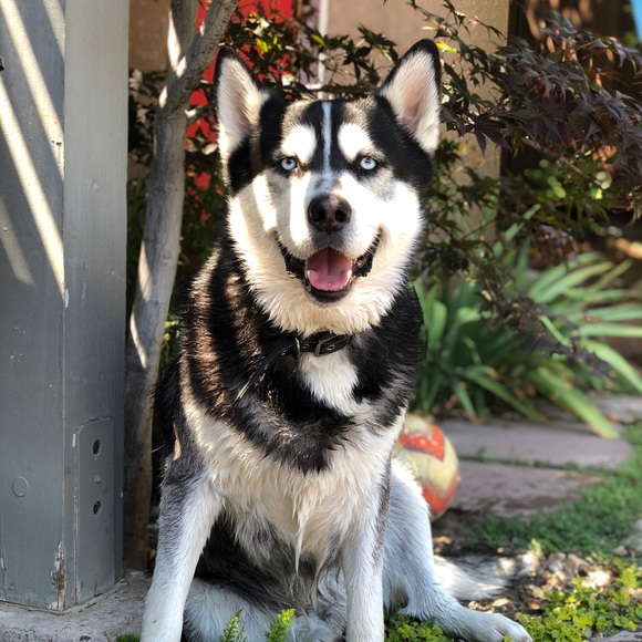 Profile Picture of Nancy Salcedo (@nanz10188) on Poshmark