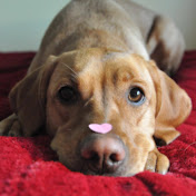 Profile Picture of Catherine Moore (@catherinemoore7109) on Youtube