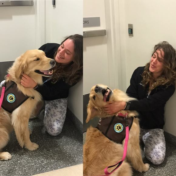 Profile Picture of Julia Black (@juliablack545) on Poshmark