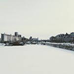 Profile Picture of Alex (@aleks.abboud) on Instagram